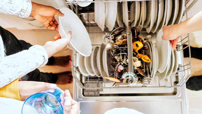The five most common ailments of your dishwashers