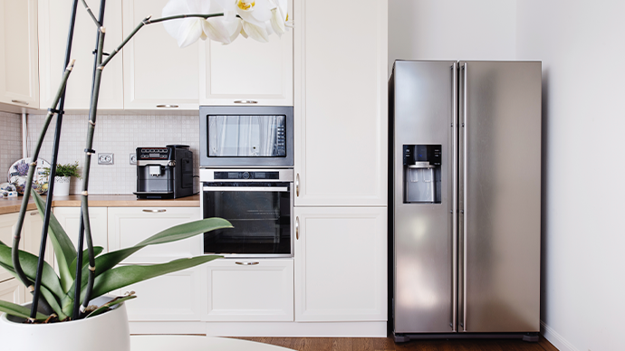 The role of appliances in household sustainability