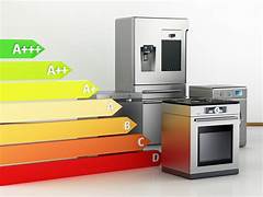 The Environmental Impact of Your Appliance Choices