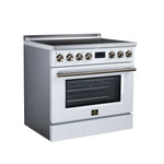 Torino 36 Inch Induction Range, 10,900W cooktop, 5.36 cf. True Convection Oven, Air Fry, Air Sous Vide, Smudge Resistant, White