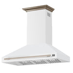 Forno Aria 48 Inch Wall-Mounted Range Hood in White - BonPrix Électroménagers