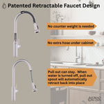 FORNO ACQUA 33 in. Drop-In/Undermount 40/60 Double Bowl Sink with Retractable Faucet & Waterfall - BonPrix Électroménagers